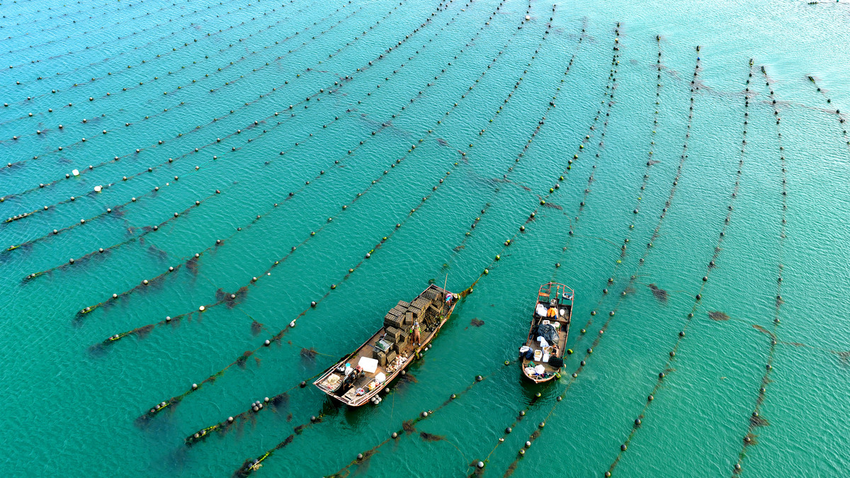 海水生态养殖专业发展前景如何？