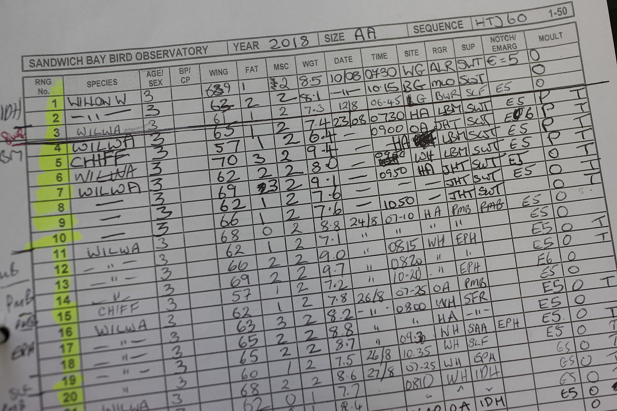 如何确定某人的年龄？