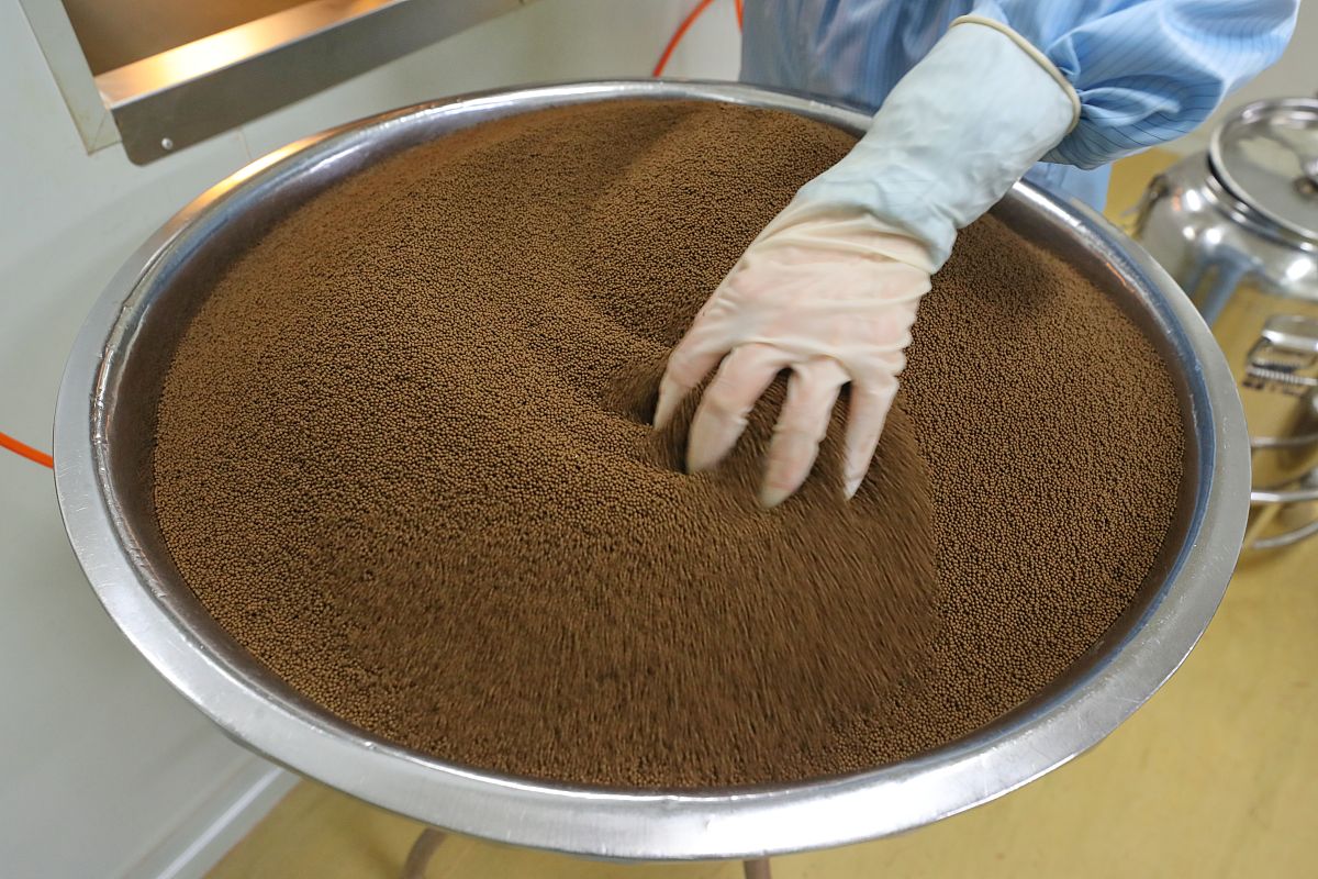 王氏保赤丸对肠易激综合征-腹泻模型大鼠的肠道菌群影响研究