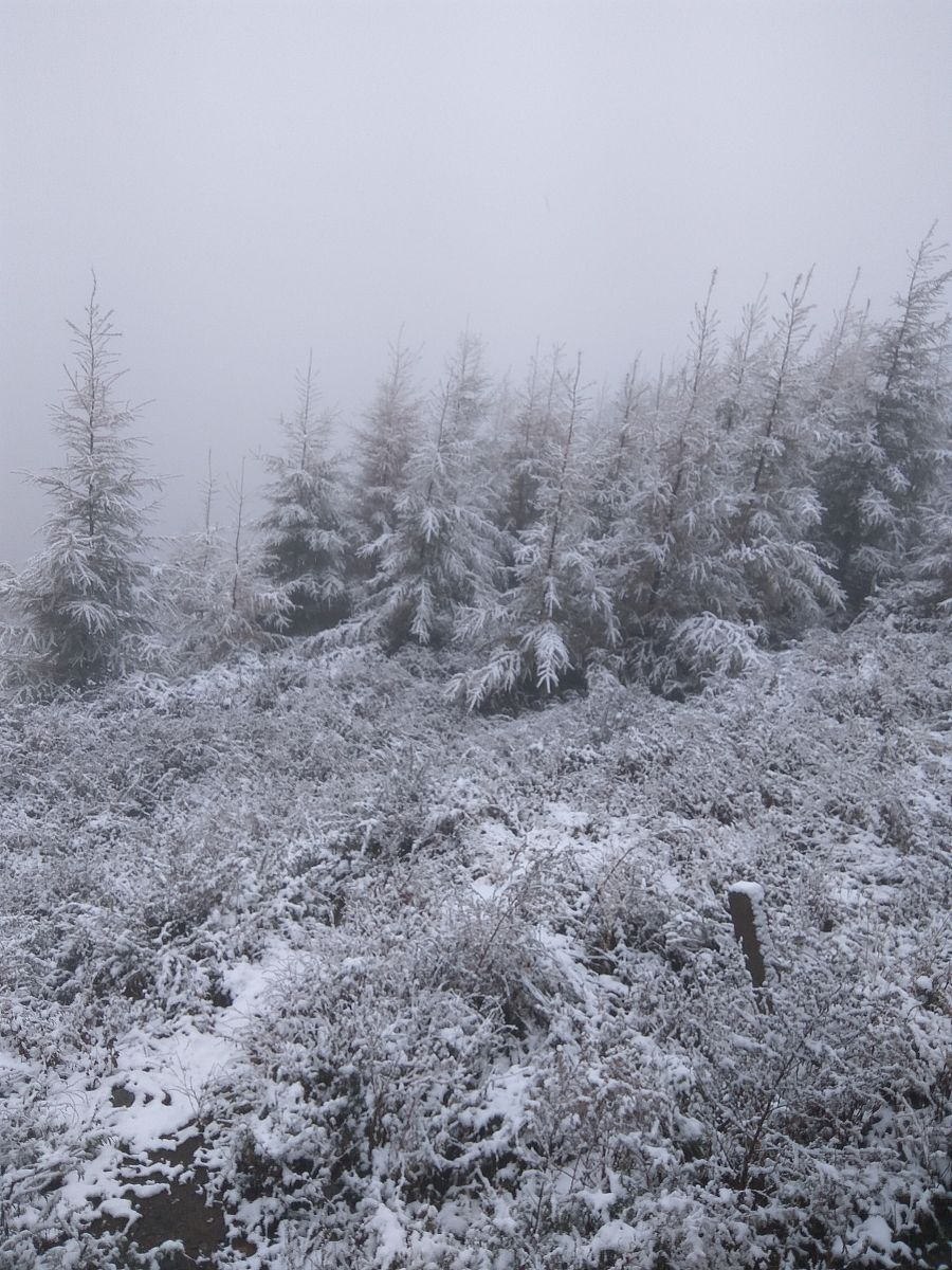 2017年10月10日,北京最高峰灵山飘雪,白茫茫一片,很是好看.