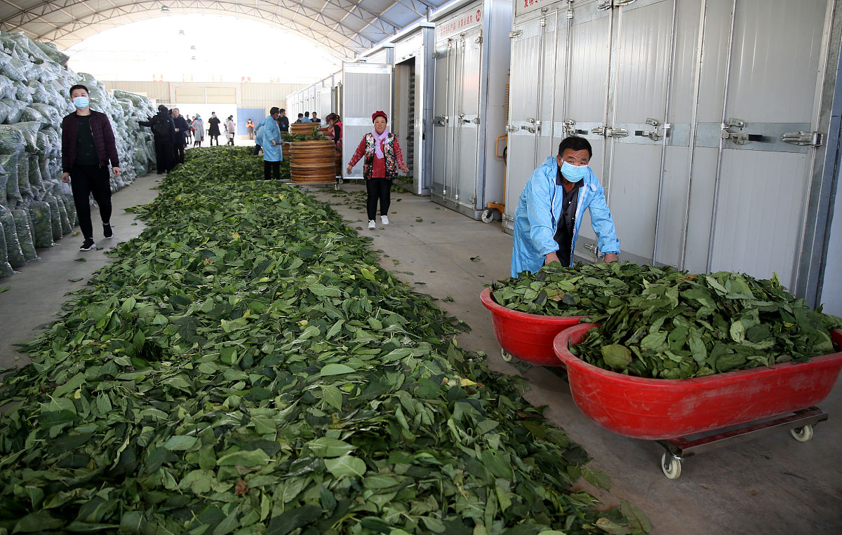 云南省曲靖市农业学校2019年五年制专业计划