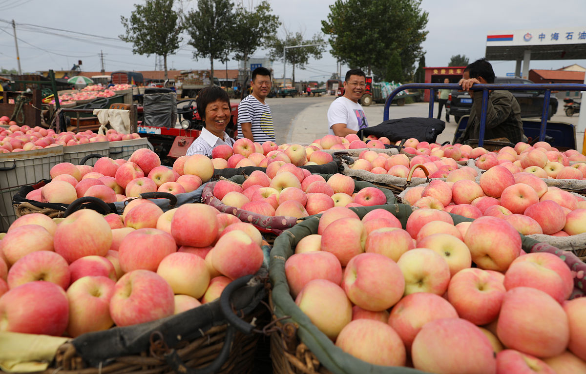 山东电影学校电视节目制作行业有哪些优势