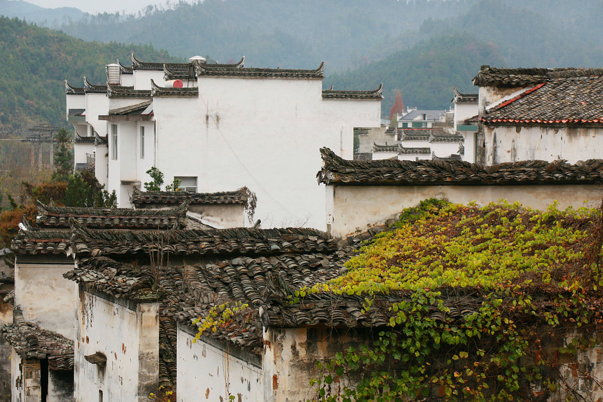 江西青年职业学院中专部招生简章 - 培养高素质中等职业教育人才