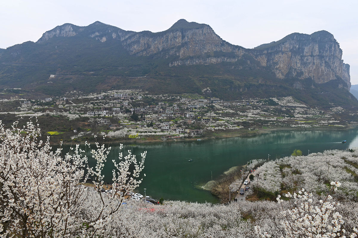 2020年贵州哪些大专学校的幼师学校好