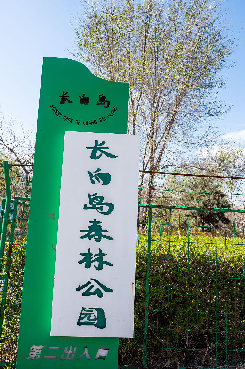 H5N6禽流感病毒：症状、传播和预防