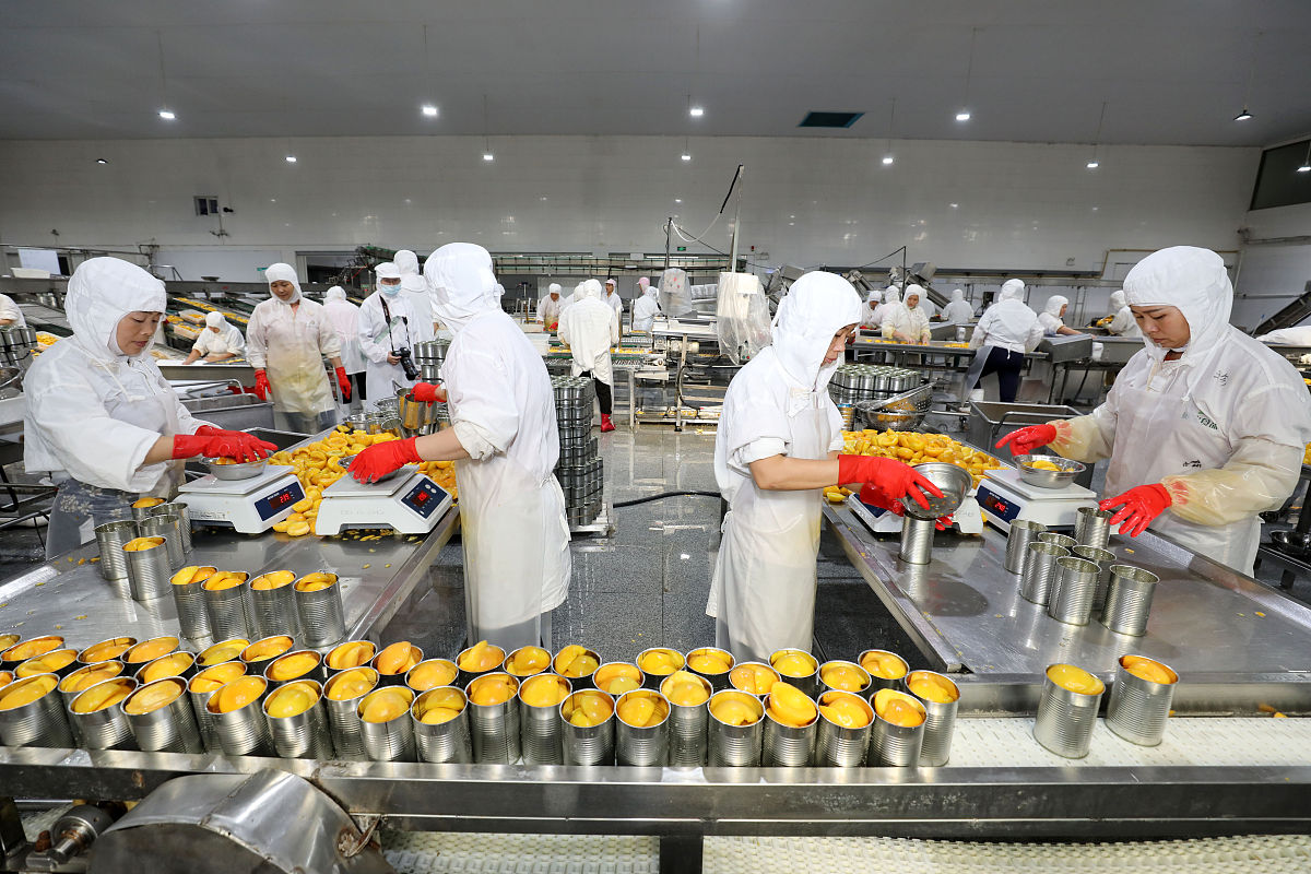 安徽粮食经济技师学院2023年招生专业 - 优势解析