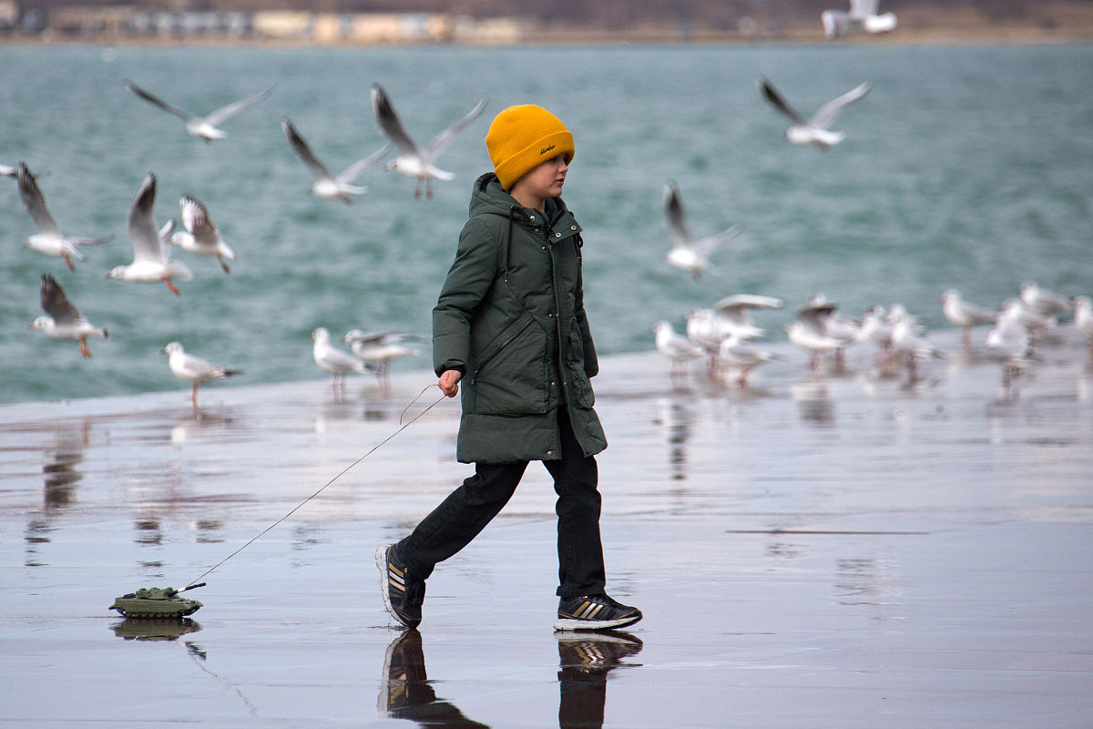 航程天气和海况查询