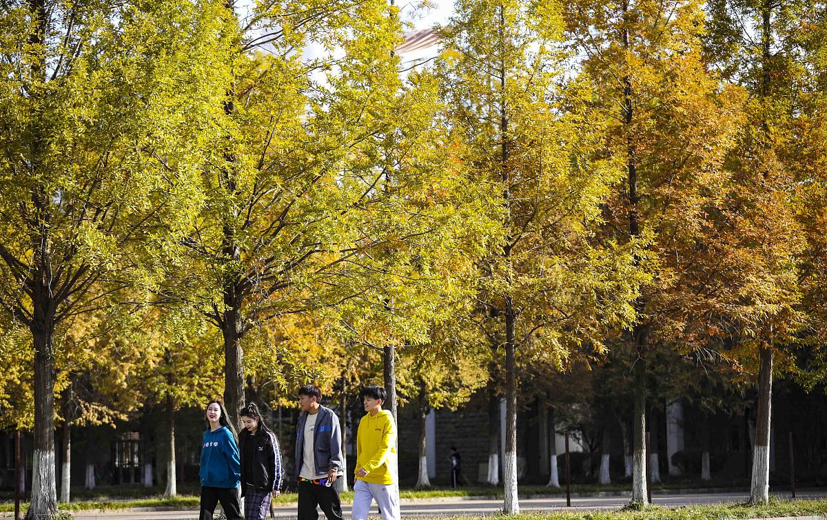 江苏商贸职业学院移动商务专业怎么样？就业前景如何？