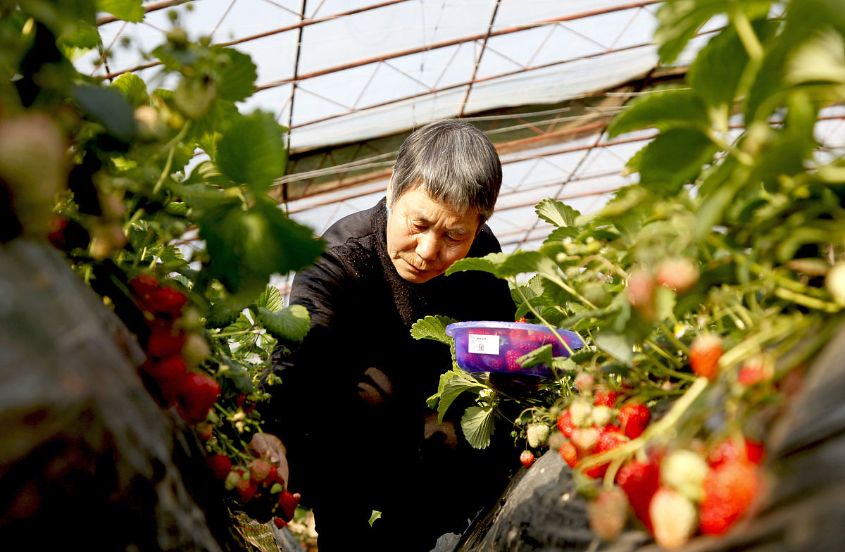 在不改变原意的情况下使下列这段话更符合实际更通顺：我代表新疆伊泉生态农业科技开发有限公司向六十一团提出租用商铺四号楼的申请。我们公司是一家农产品生产销售加工一体化的企业为了促进农产品销售现公司计划扩大业务规模我公司想申请租赁步行街商铺四号楼作为直播网红销售办公点在此我希望六十一团领导能支持我们的租赁申请我们愿意遵守六十一团相关规定和要求确保商铺的合法使用和维护。