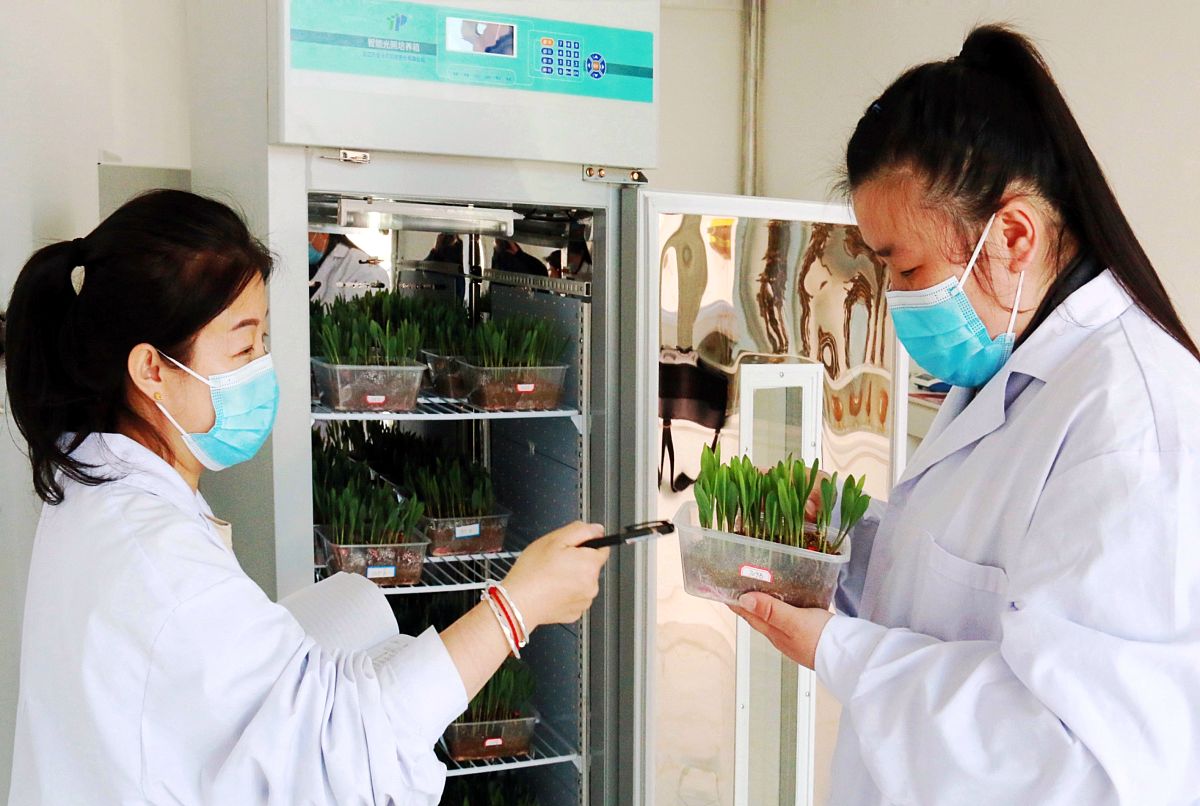 四川省质量技术监督学校食品营养与检测专业招生简介 - 2019