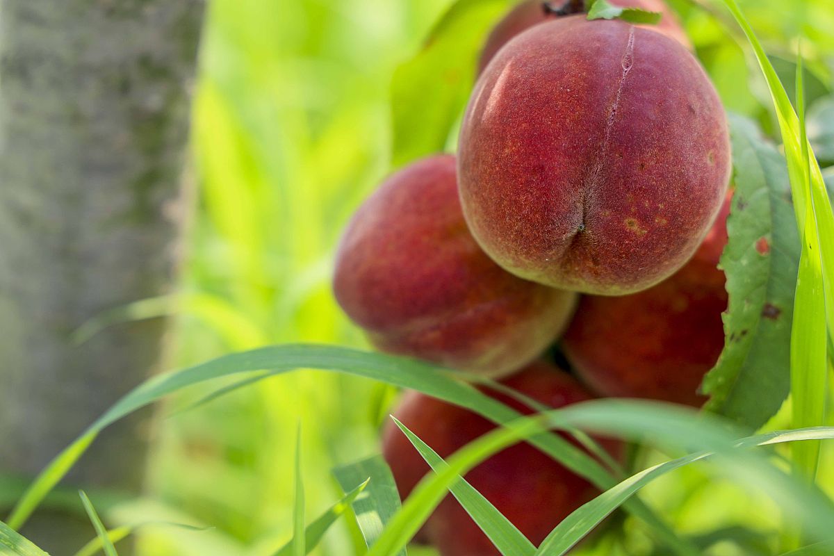 烟台商业学校酒店管理专业怎么样？师资、课程、就业全解析