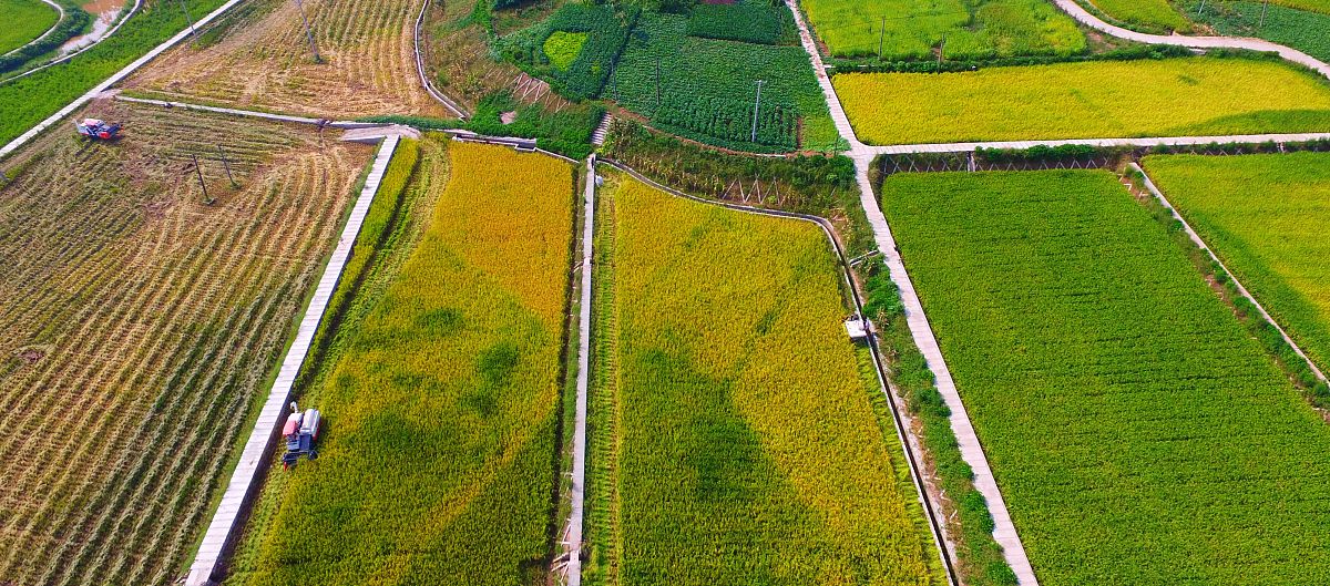 重庆市农业学校农业机械使用与维护专业就业前景如何