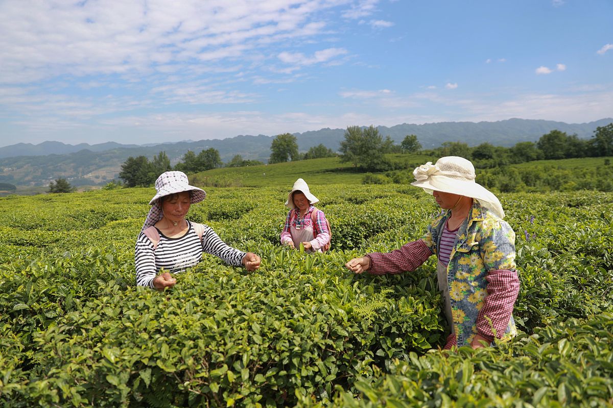 毕节市七星关区中等职业学校客户信息服务专业是不是热门专业？