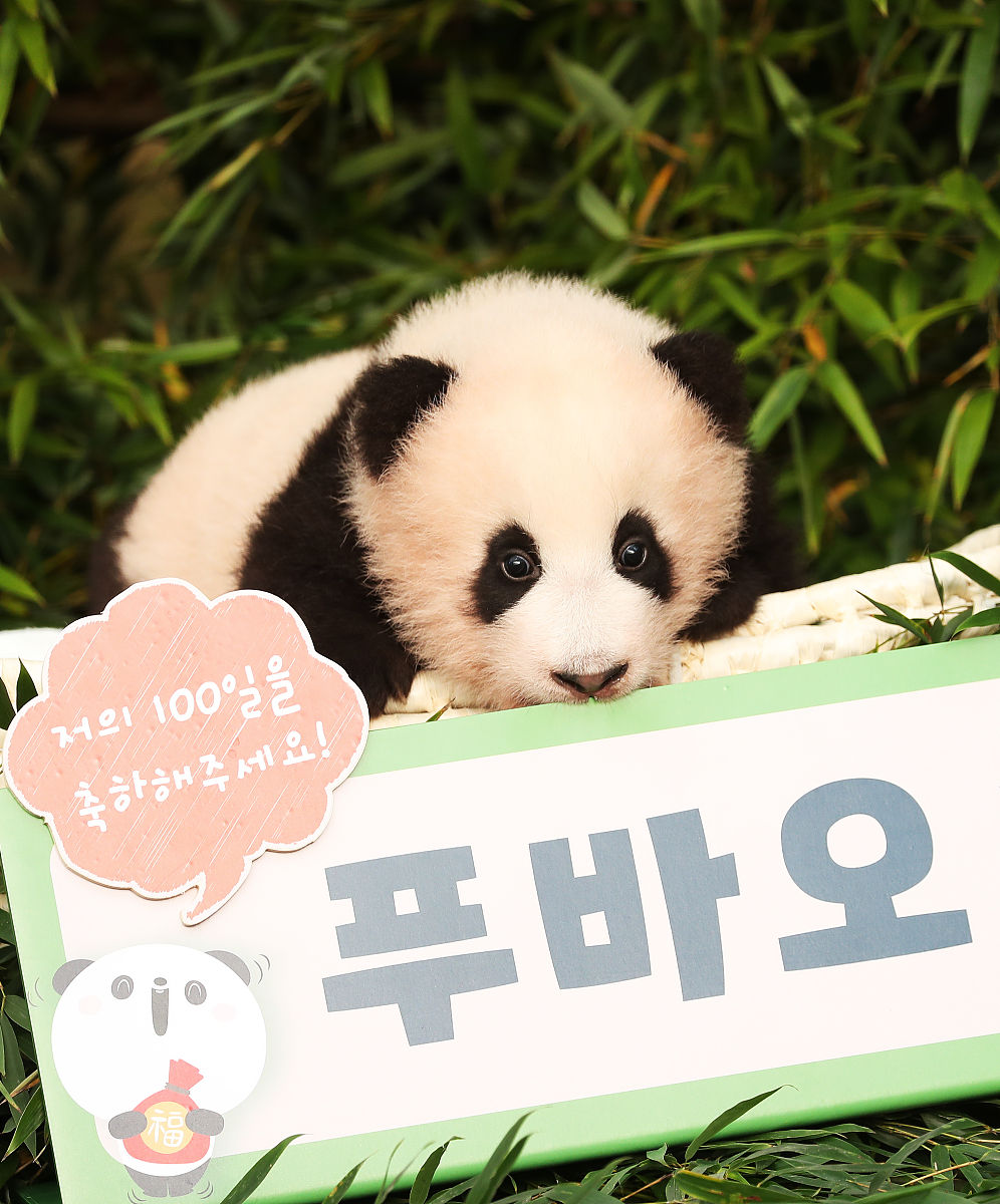 299 个好听的女孩子名字大全：取名灵感和建议