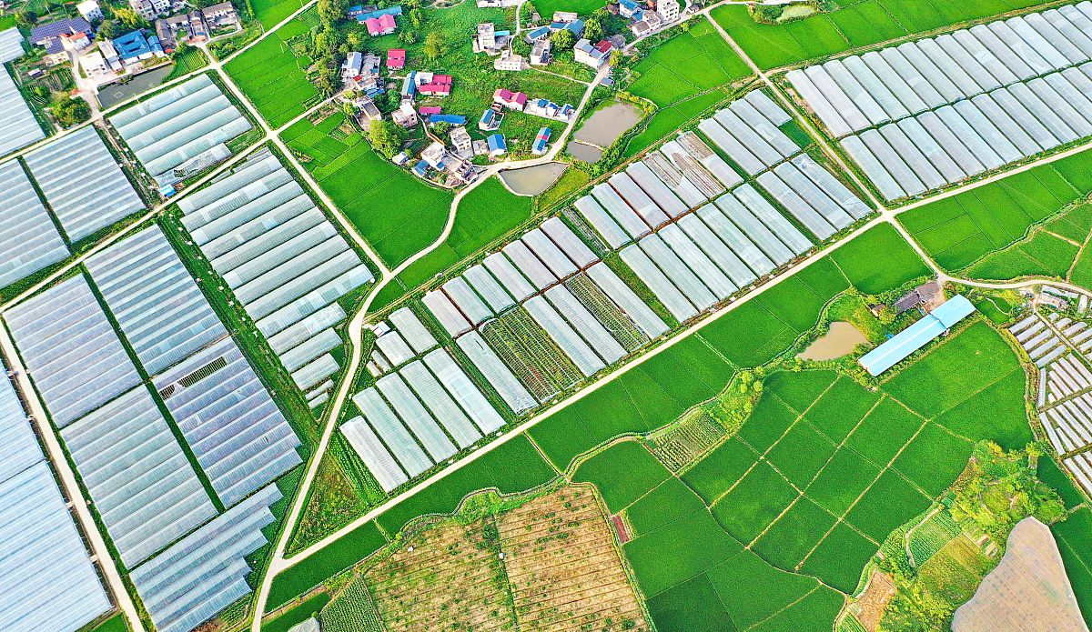 江西经济管理职业学院法律事务专业怎么样？就业前景好吗？