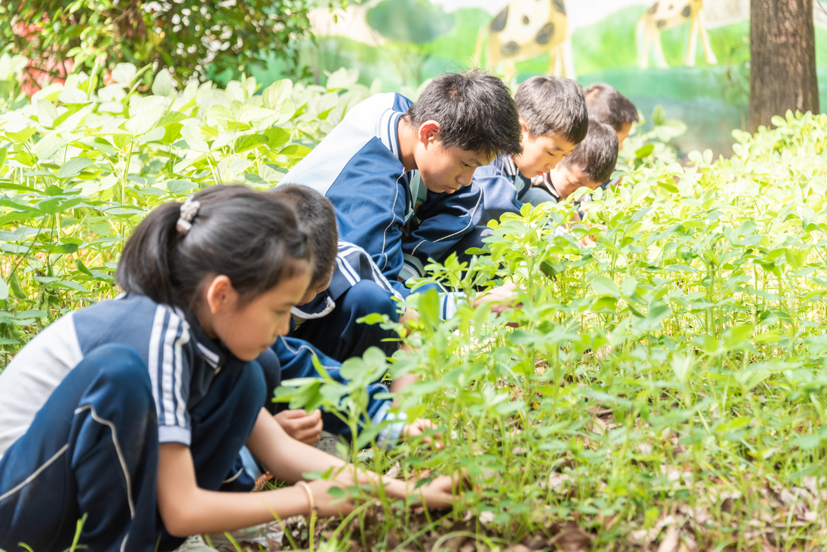 孩子自然教育、研学文案