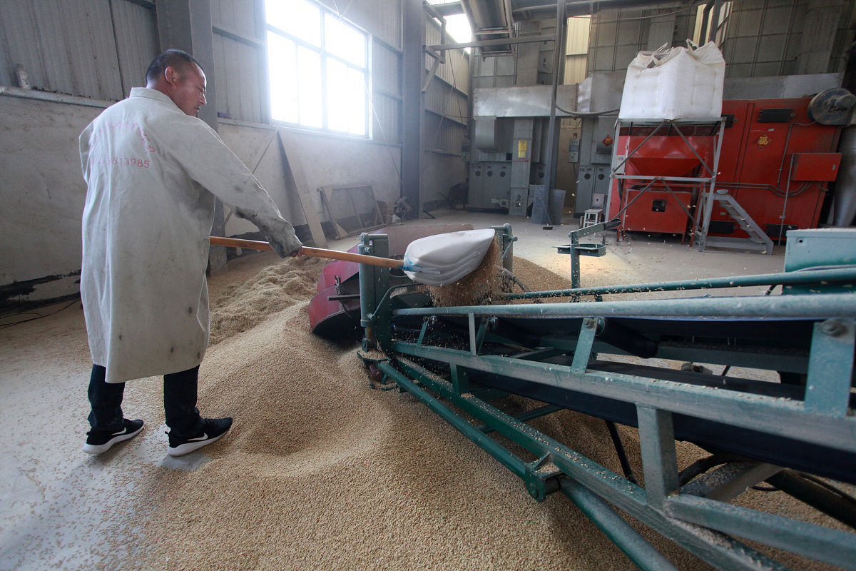 江苏省高邮中等专业学校2023年招生网站是哪个-怎么样