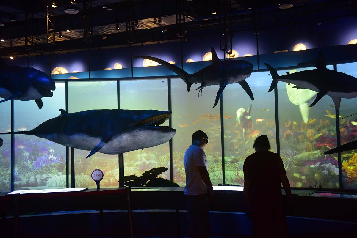 波士顿最佳水族馆和博物馆推荐