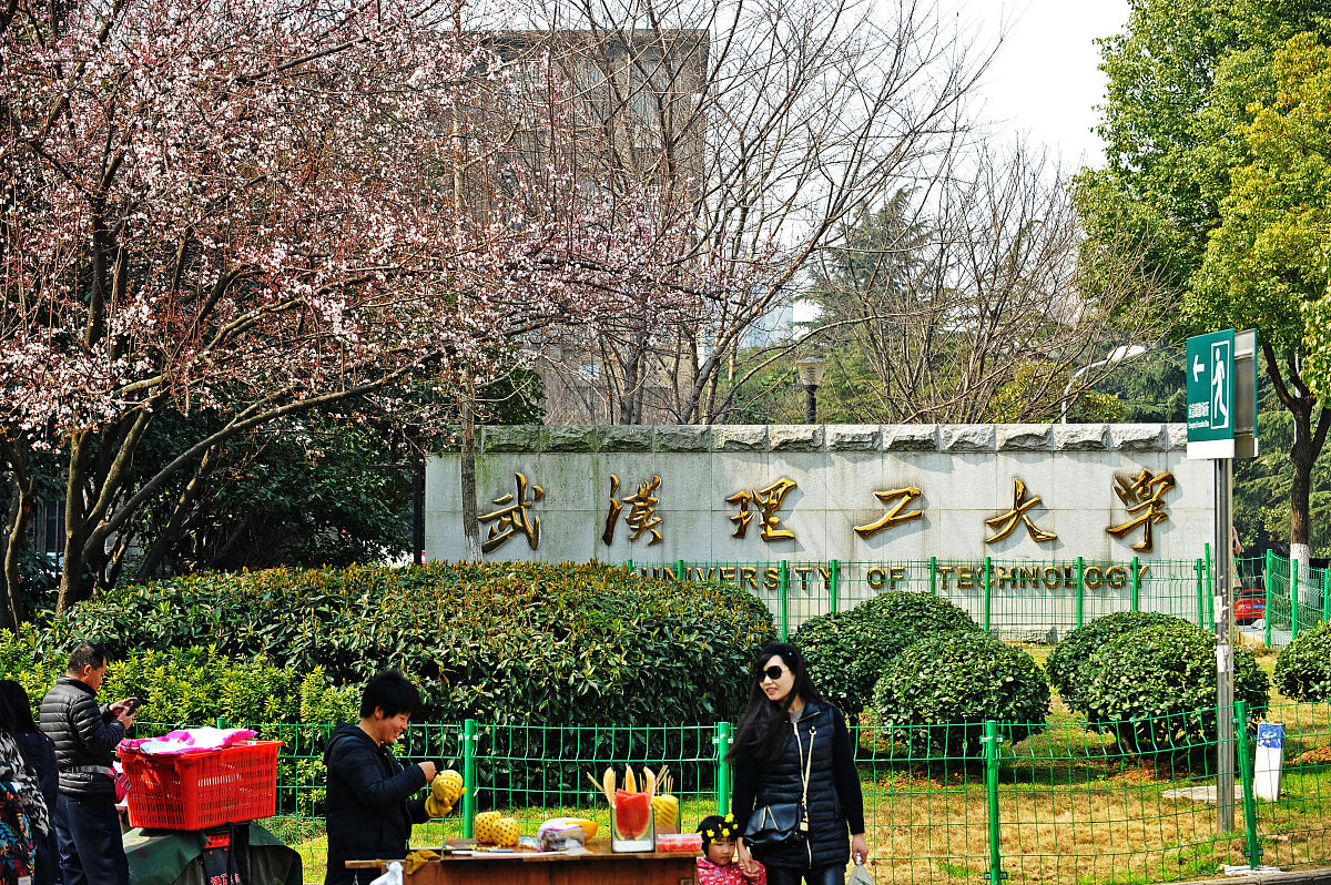 2017年2月26日,武汉理工大学校门口,盛开的红叶李带来春天的讯息.