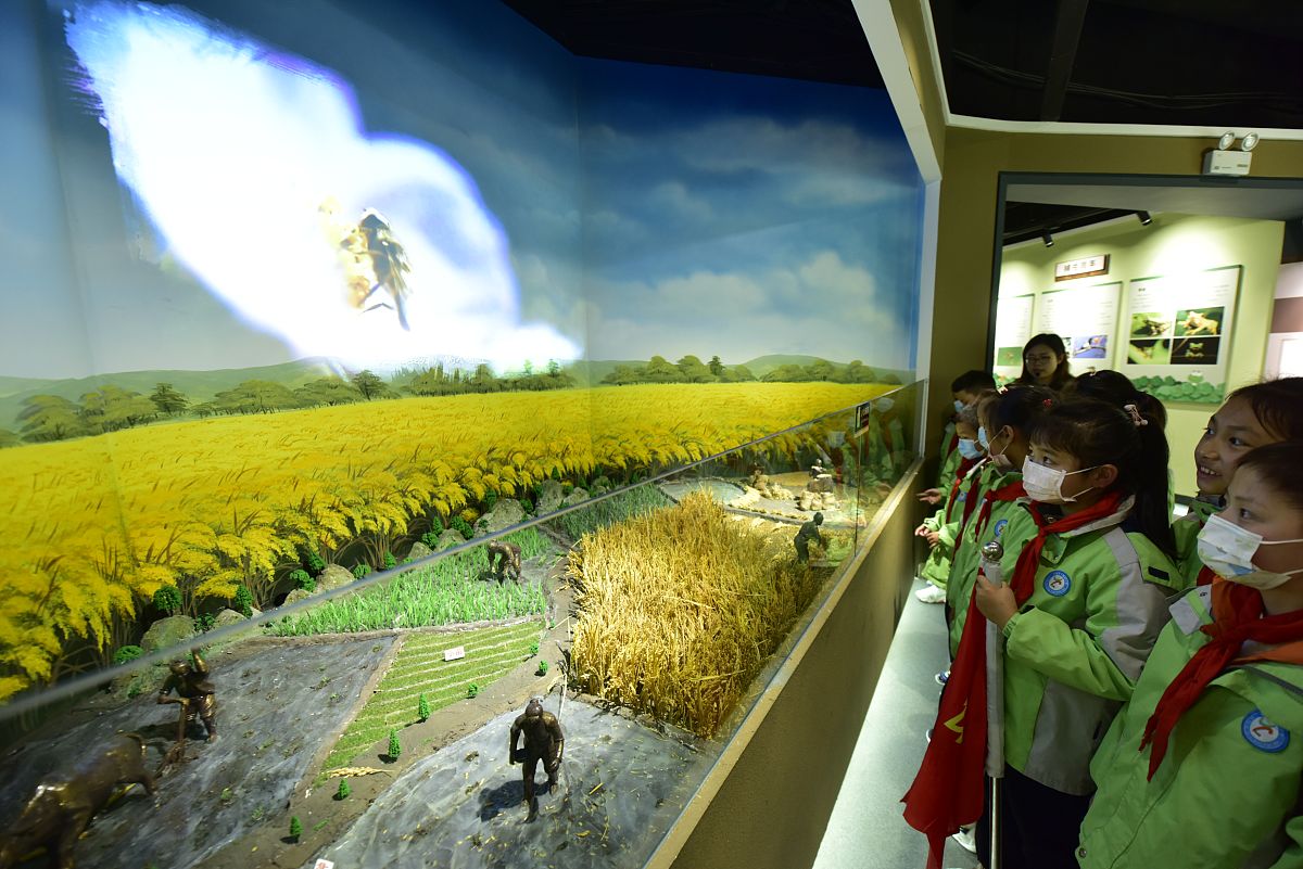 该项目为宣传农业科技而建设了一个小型场馆我负责整合信息将信息融入到基地中让游客体验并了解有关内容。帮我润色上面的话