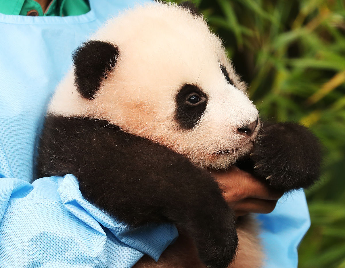 取一个 23 年宝宝的名字