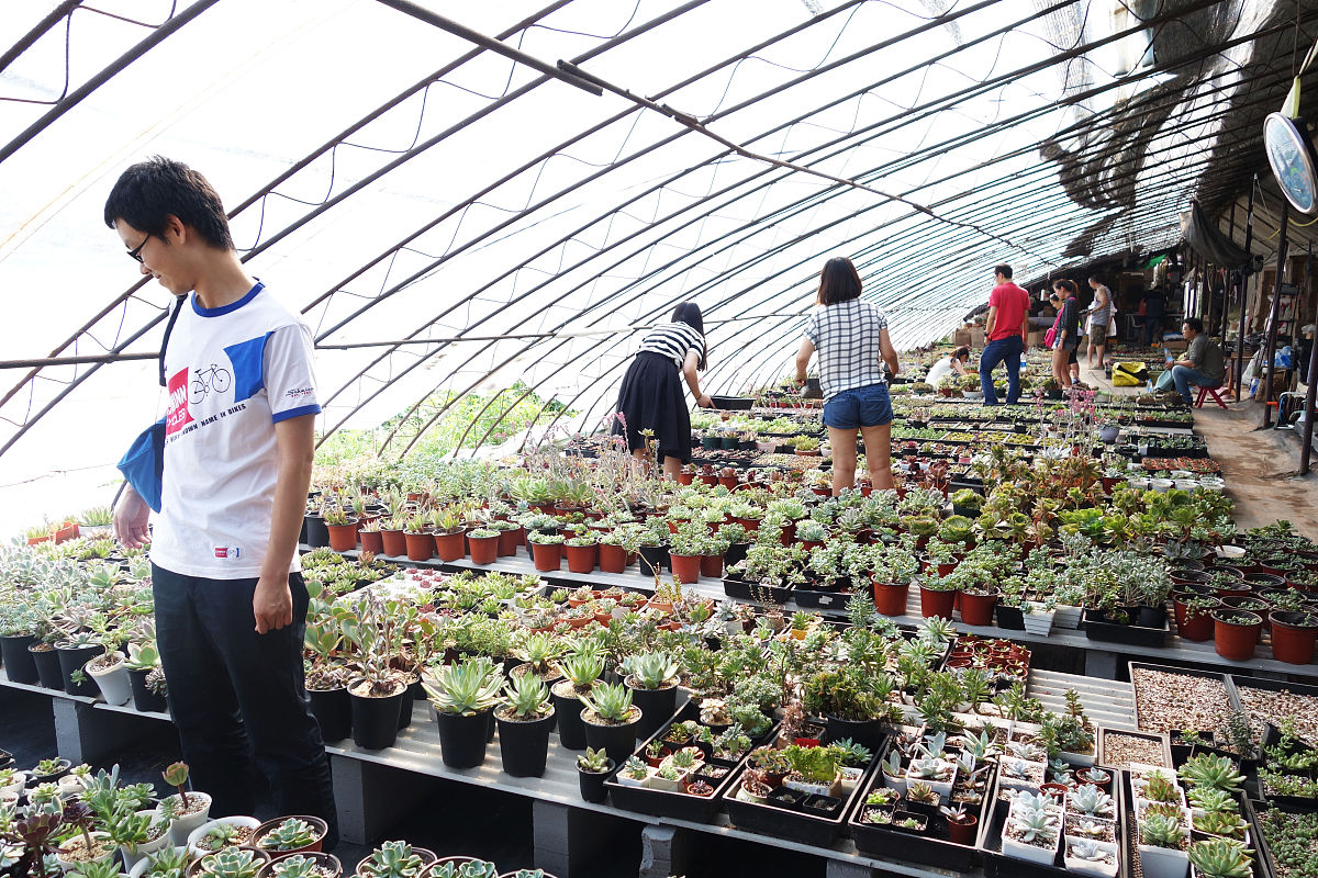 2019年毕业读果蔬花卉技术专业：就业前景分析