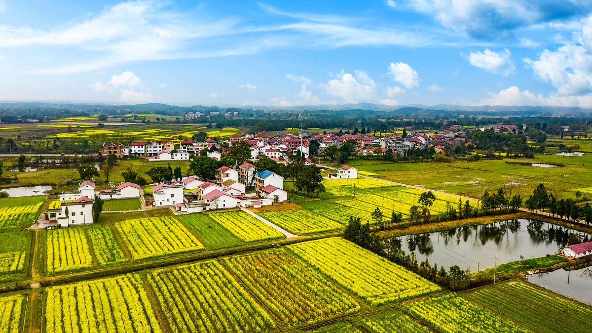 清平乐村居改写：乡村田园生活
