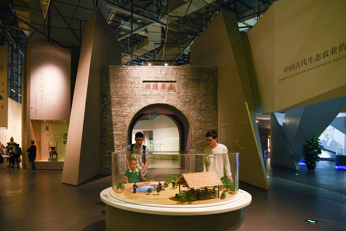 参观隆平水稻博物馆社会实践报告 - 探索水稻世界，启迪未来发展