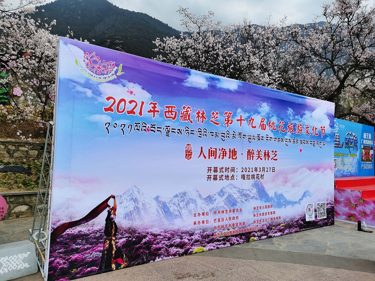 西藏分享会主题推荐：开启心灵之旅，探寻秘境与智慧