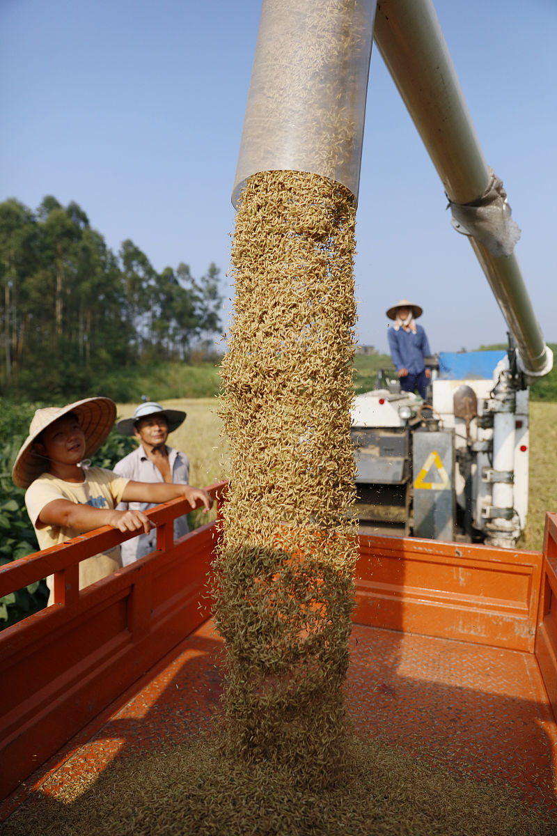 四川2022年中专学校上什么专业好