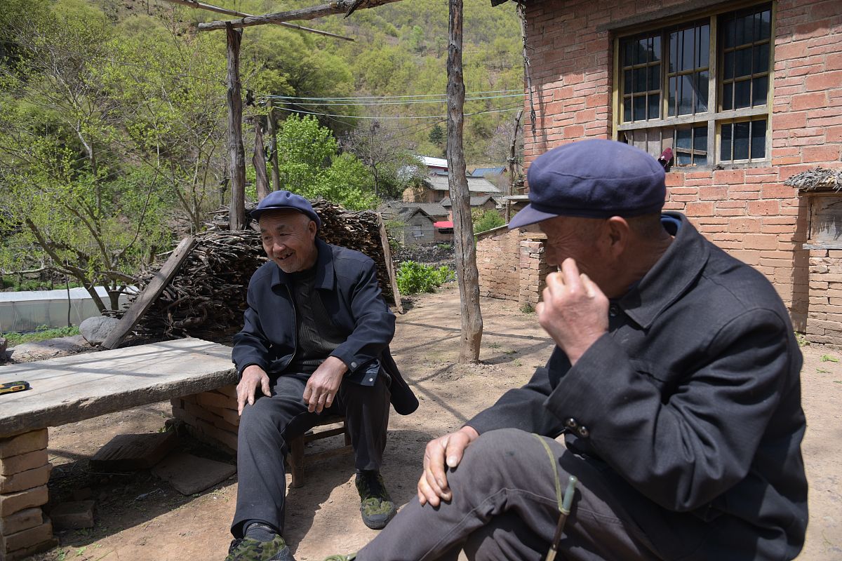 榆林市绥德县农村养老问题研究：现状、挑战与对策