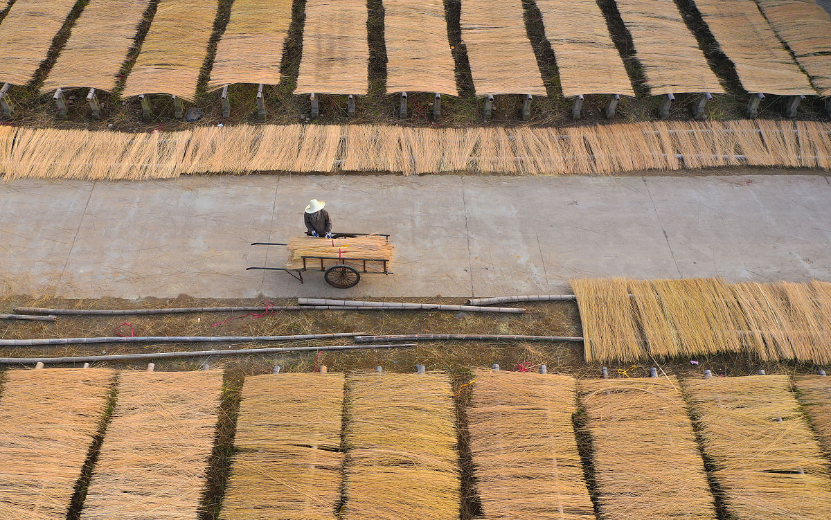 2023年乡村振兴调研报告 - 深入分析现状与未来发展趋势