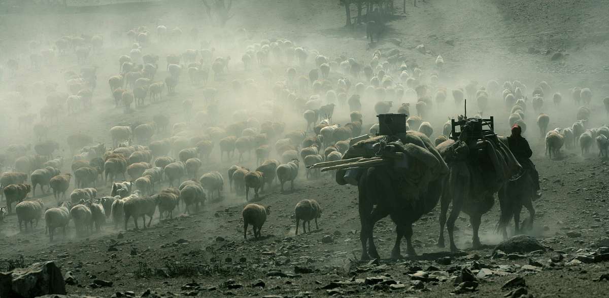 世界历史上的大迁徙与民族迁移：从游牧到现代