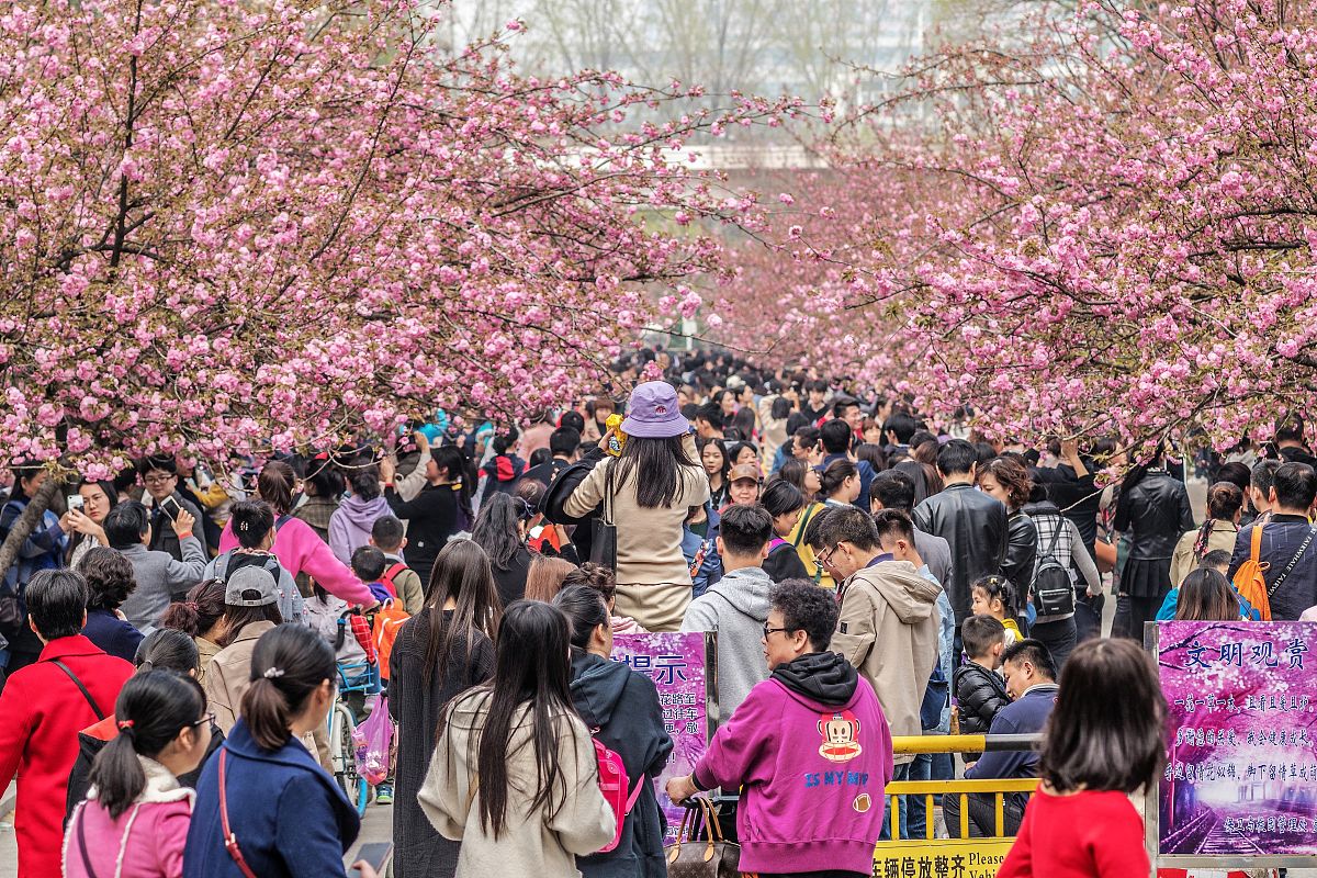 安徽3+2学校有哪些？