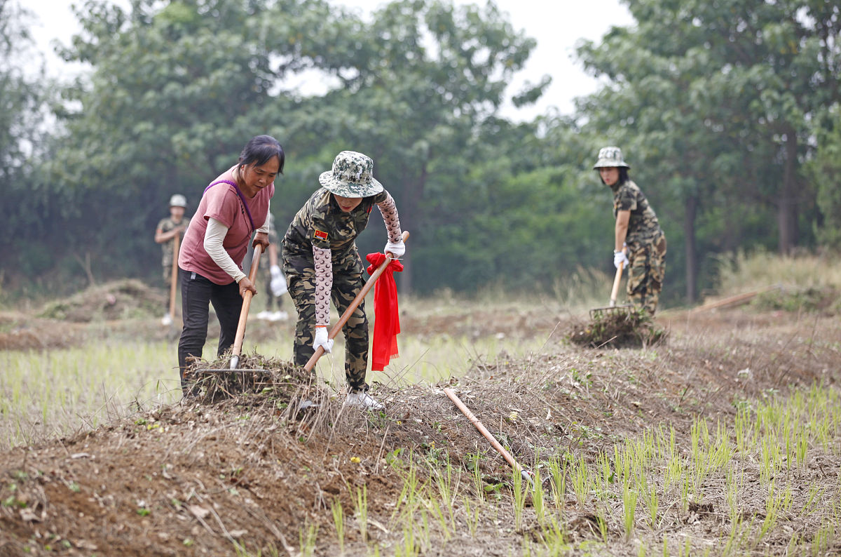 山西林业职业技术学院森林生态旅游专业都学些什么