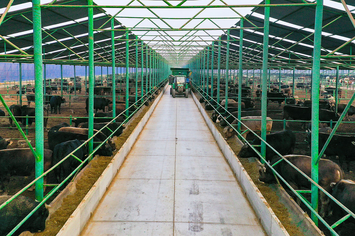 畜禽养殖发展概况