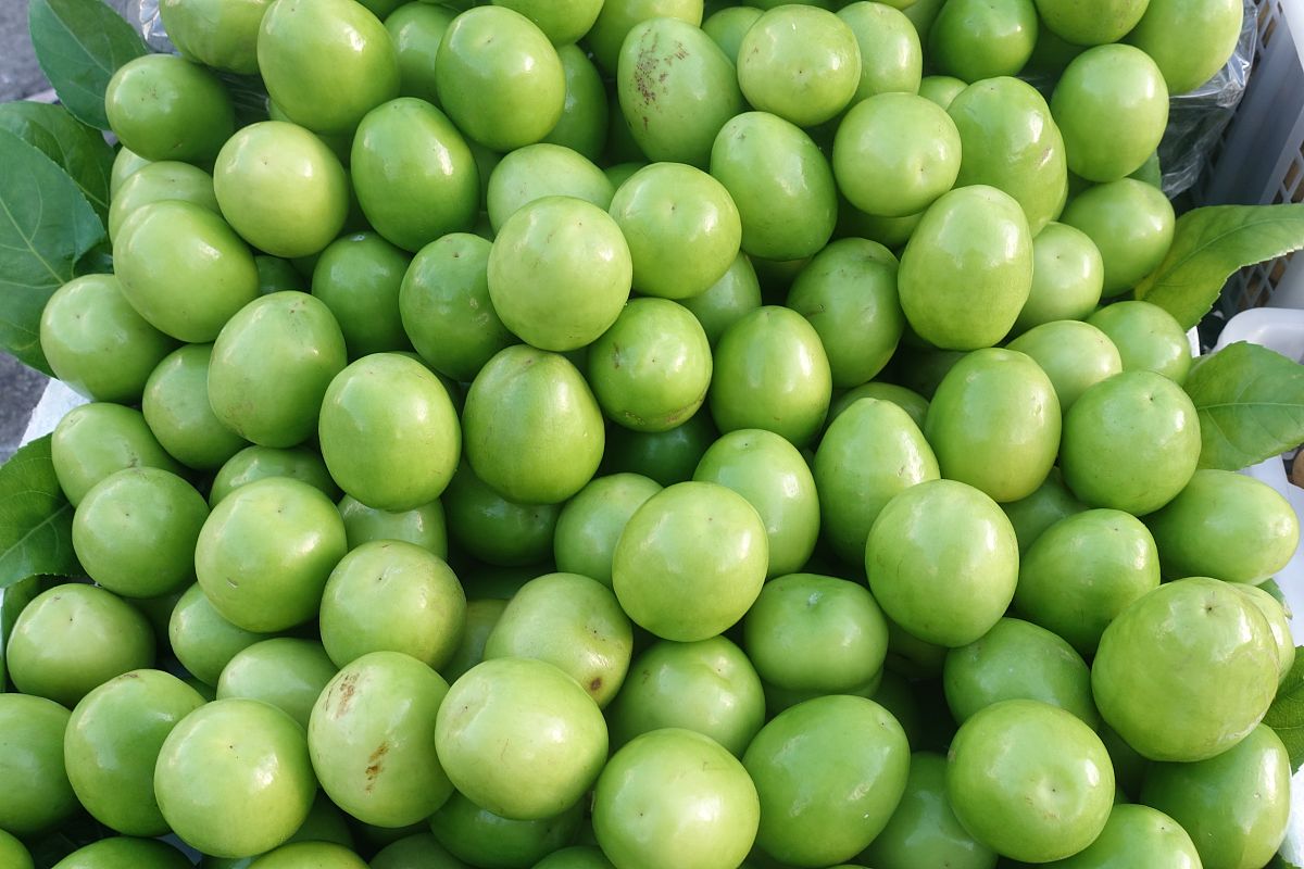 云南建筑工程技术学校2022年招生简章怎么样