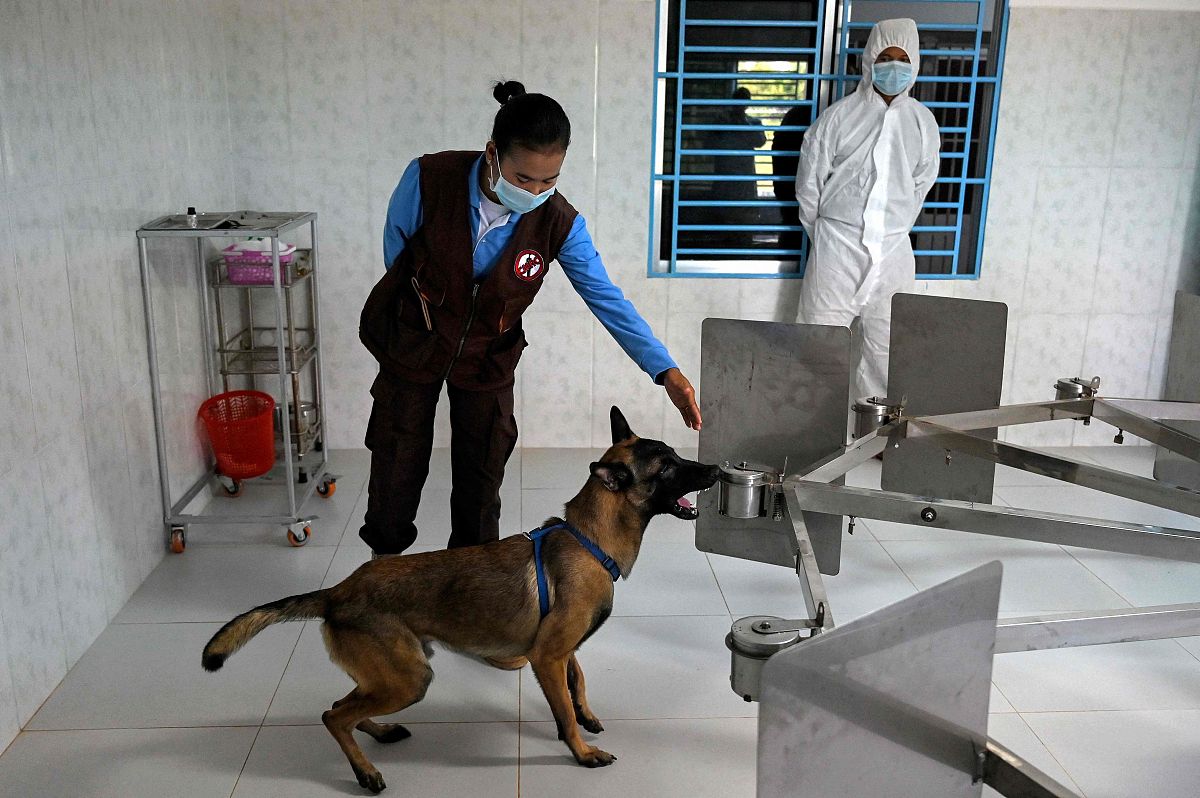 隆鼻后会影响嗅觉吗？