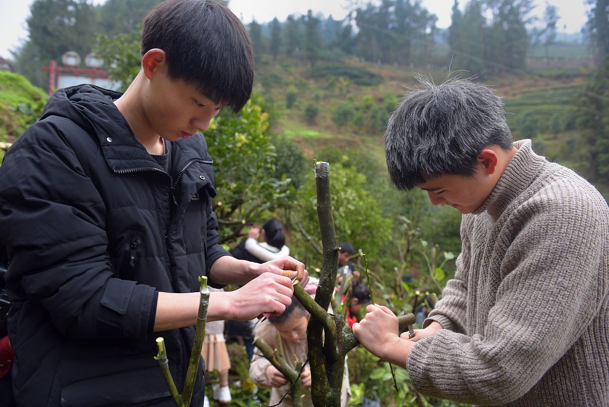 2019年思南县中等职业学校招生简章