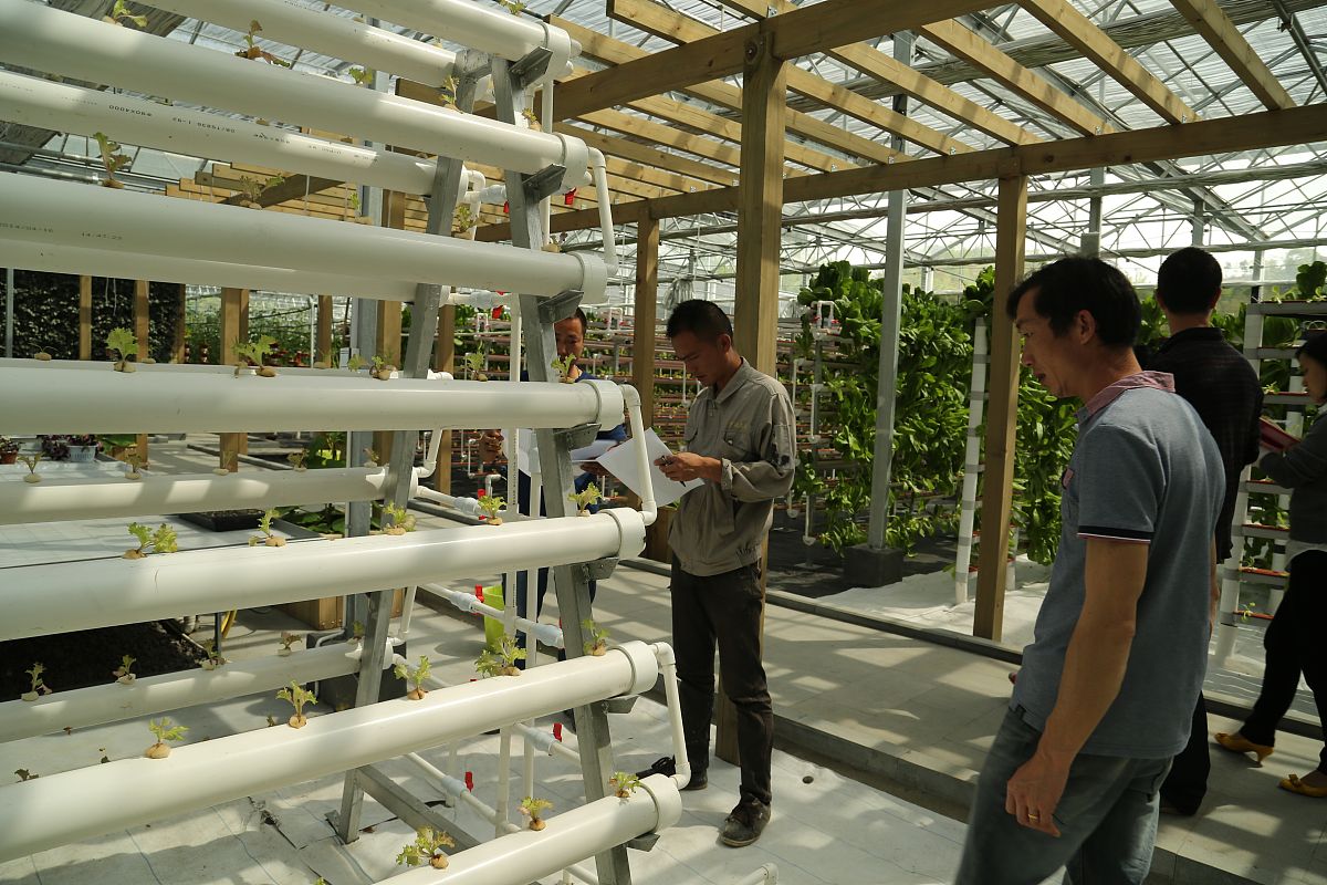 微型社区蔬菜工厂的公司