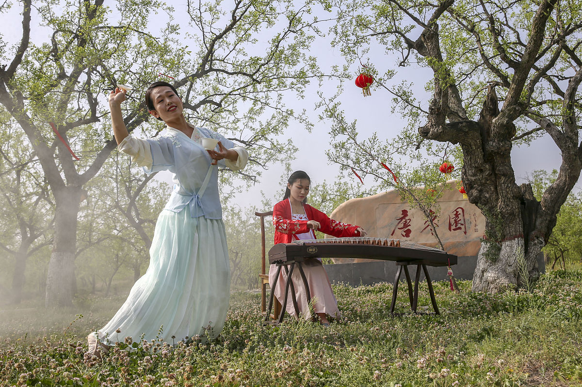 ‘春阳琴韵天籁声’是什么意思？