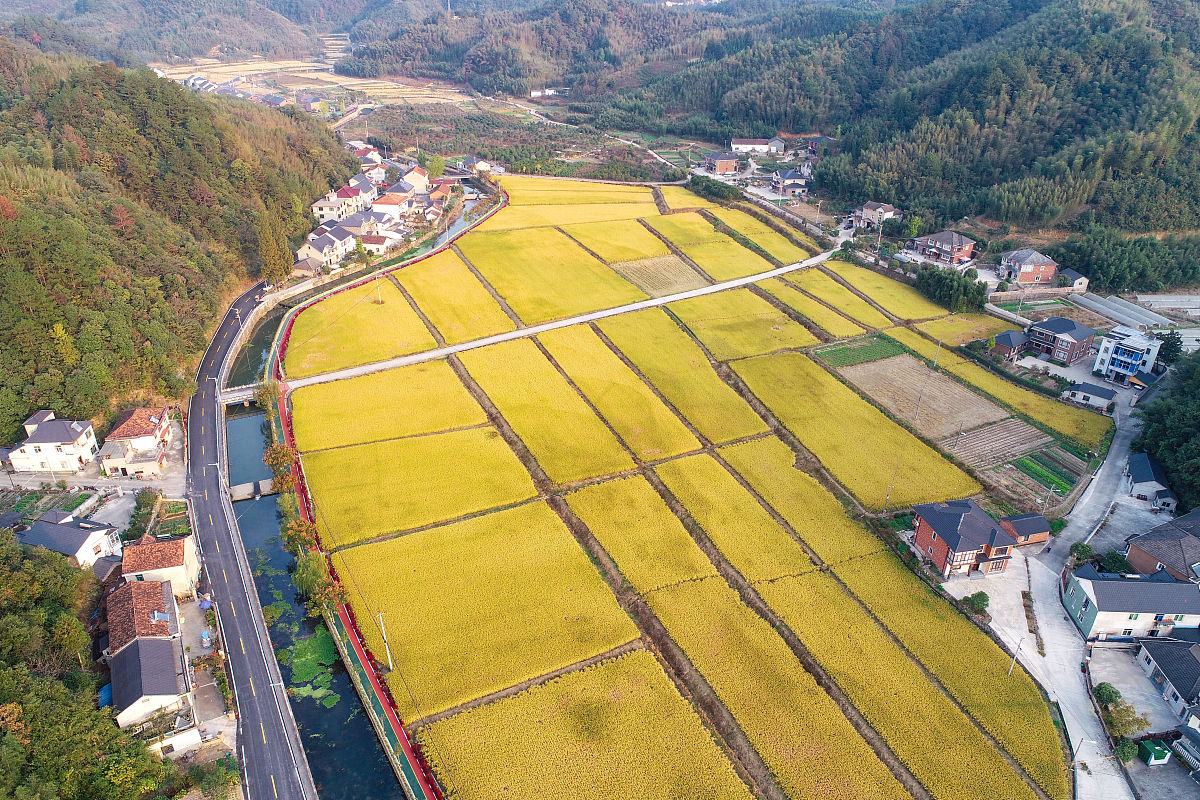 杭州临安区技工学校2022年招生简章