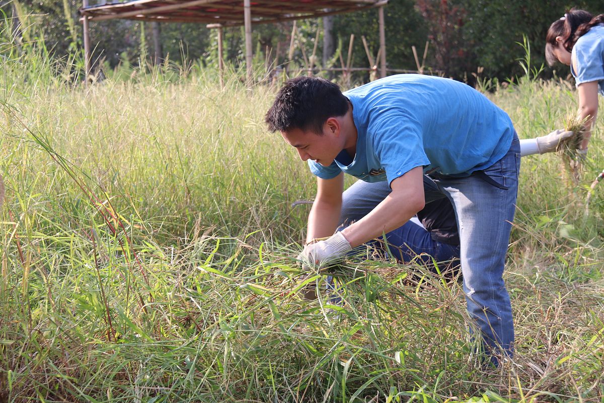成都幼师教育专业哪个学校好？推荐3所优质院校