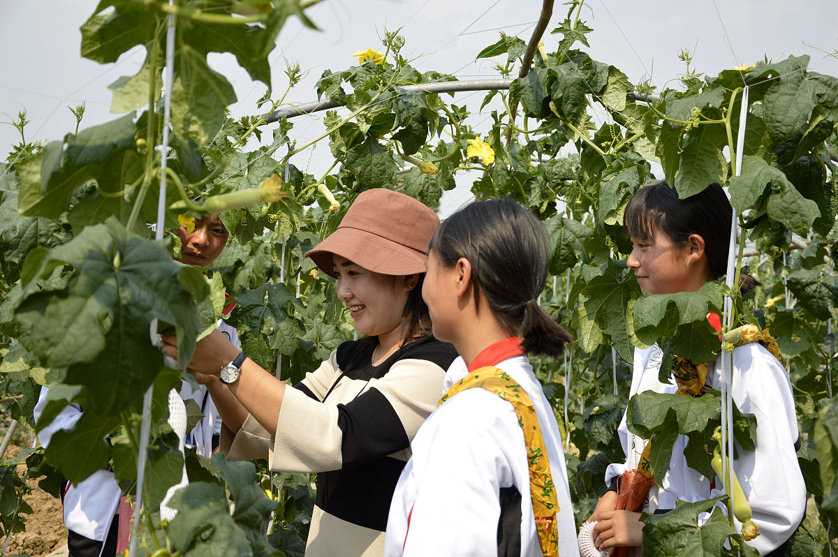 威远县职业技术学校专业设置：为学生提供广阔发展空间
