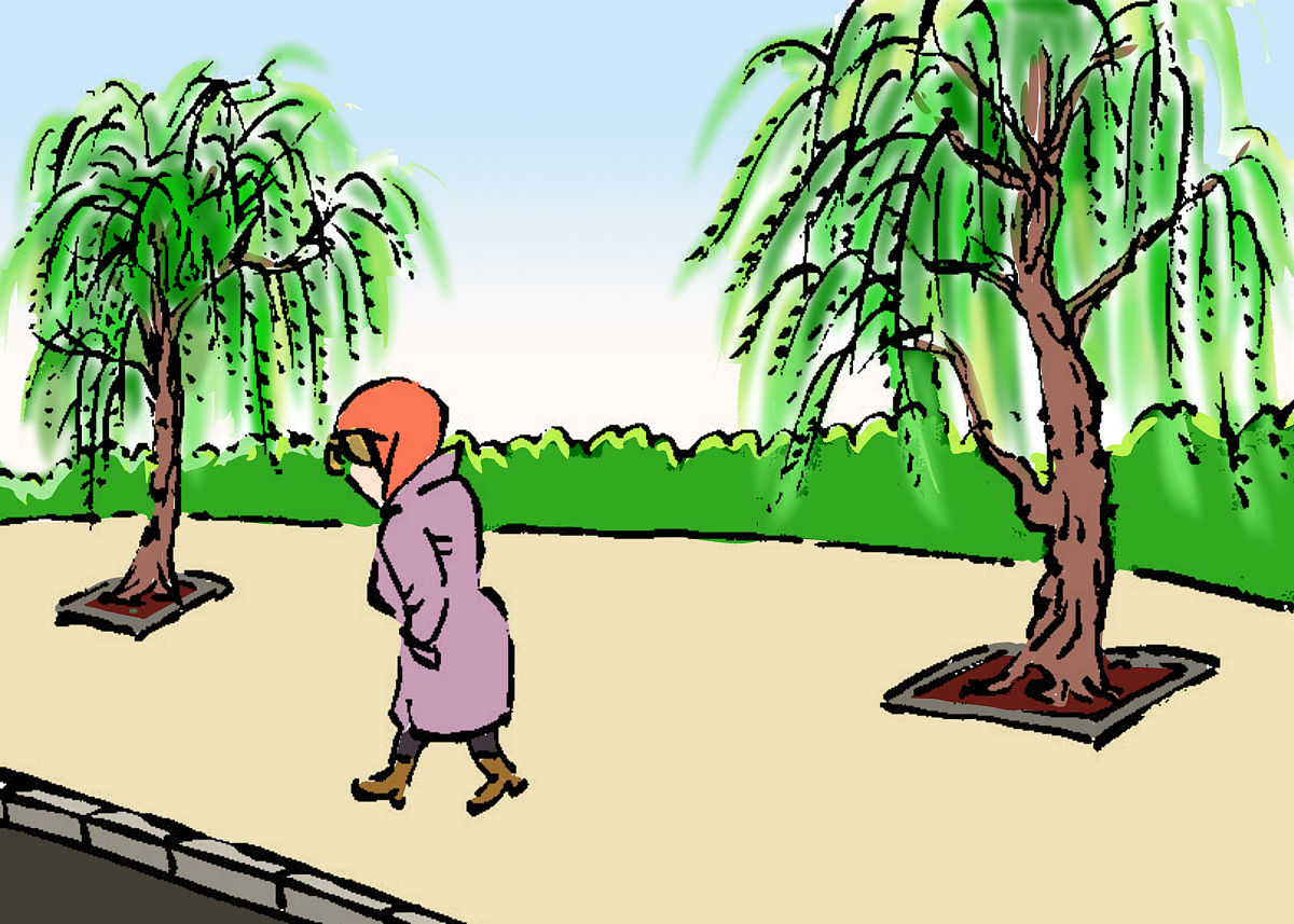 小枣树和小柳树：友谊的童话故事 | 300字以上