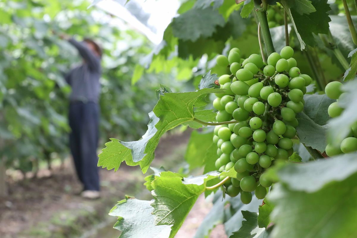 海盐县理工学校2022年招生简章