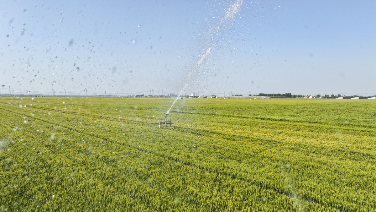 叶面喷施：1公斤磷酸二氢钾兑水600-800公斤。30斤水的喷壶放磷酸二氢钾20-25克；滴灌、冲施建议3-5公斤亩具体结合作物长势决定用量