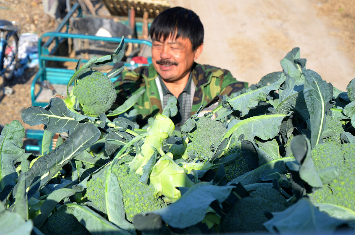 你都不加菜我还怎么邀请你呢是什么意思