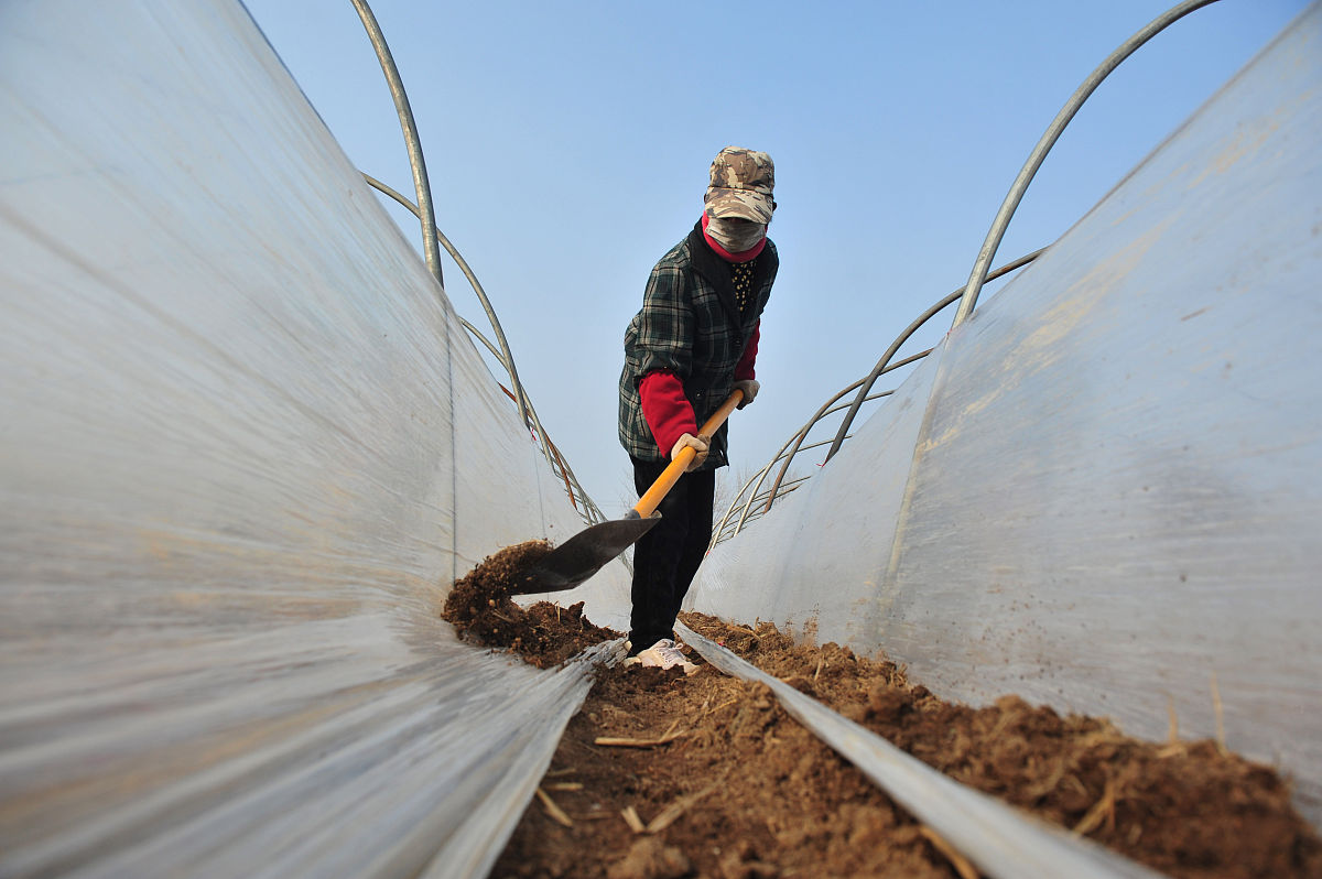 徐州市亚东中等职业学校2021年招生专业：涵盖机电、汽车、建筑等多个领域