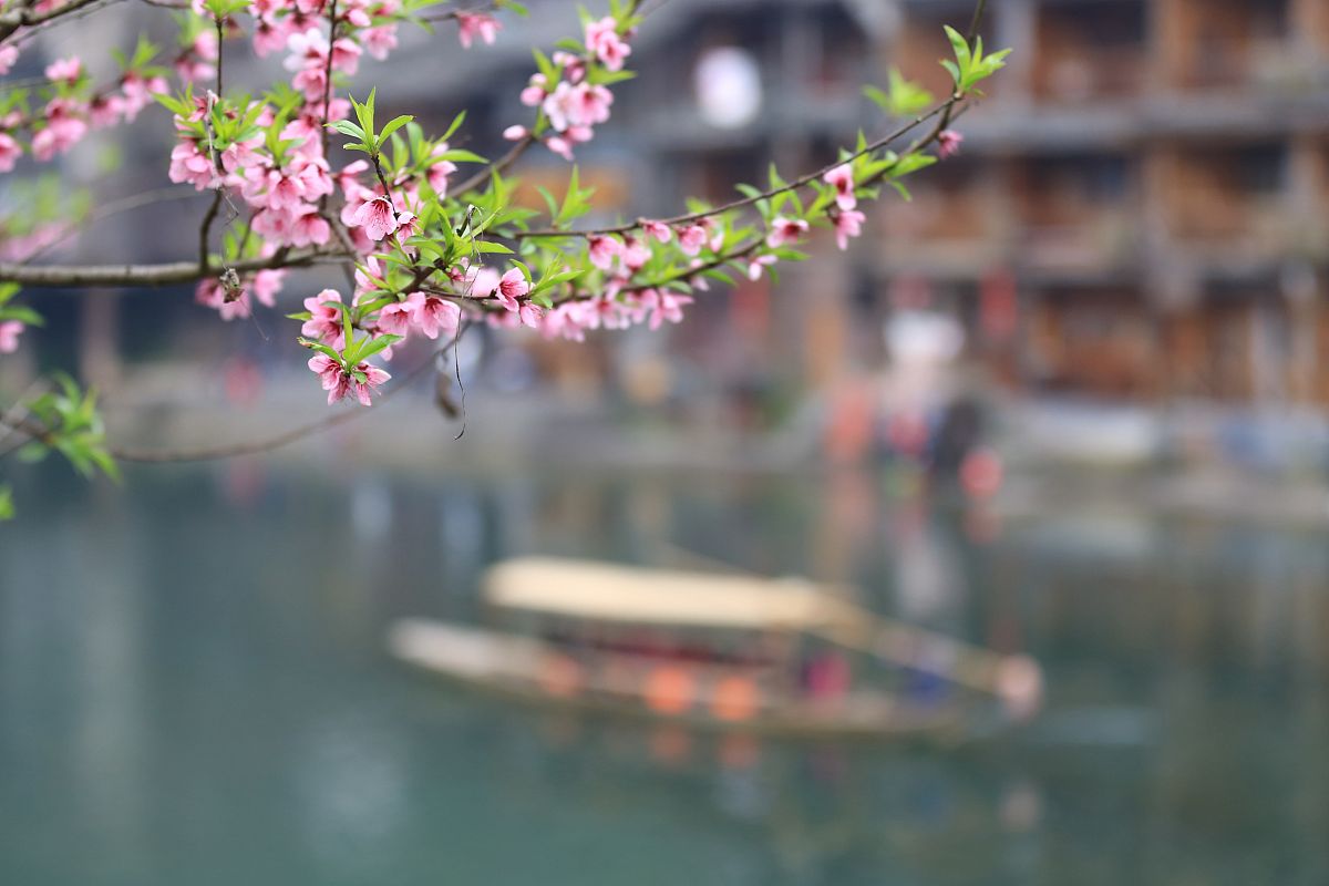 你是四月檐上雨也是心上惊鸿客什么意思